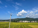 GLM短袖t恤男透氣夏季翻領(lǐng)polo衫速干T恤冰絲感休閑運動(dòng)上衣黑色3XL 曬單實(shí)拍圖