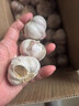 精選新鮮山東大蒜干蒜多瓣蒜頭蔬菜批發(fā)產(chǎn)地直發(fā)大蒜頭 優(yōu)選 5斤 (果徑≥3.5cm) 曬單實(shí)拍圖