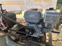 汽油機單缸小型內燃機170/190四沖程發(fā)動(dòng)機電啟船外機卡丁車(chē) 埃普瑞7.5匹平鍵手啟動(dòng)送皮帶輪 曬單實(shí)拍圖