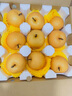京鮮生山東煙臺萊陽秋月梨凈重4斤單果250g+ 新鮮水果 源頭直發(fā)包郵 曬單實拍圖