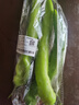 尖椒約300g 曬單實拍圖