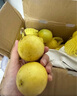 京鮮生 海南欽蜜9號(hào)黃金百香果3斤凈重70-90g/15-21個(gè) 生鮮水果源頭直發(fā) 曬單實(shí)拍圖