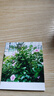 柯達(dá)（Kodak）MiniShot3 Retro拍立得相機(jī)一次成像照相機(jī)復(fù)古 便攜拍照打印一體機(jī)學(xué)生旅游七夕禮物結(jié)婚生日送禮 黃色套餐一（標(biāo)配+60張相紙） 曬單實(shí)拍圖