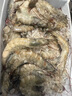 鮮京采 原裝進口厄瓜多爾白蝦 去冰凈重3.3斤 大號50-60規(guī)格 82-99只/盒 曬單實拍圖