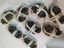 【活蟹】蟹宗大閘蟹鮮活螃蟹河蟹全母2.5-2.8兩8只水產(chǎn)生鮮中秋節日禮品禮盒源頭直發(fā) 曬單實(shí)拍圖