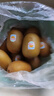 佳沛（zespri）新西蘭  陽光金奇異果巨大果22粒原箱 單果重約144-175g 獼猴桃 曬單實拍圖