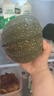 高山嫩南瓜新鮮蔬菜生鮮清炒老少皆宜清炒 新鮮嫩南瓜 2斤 曬單實(shí)拍圖