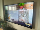 康佳電視 75G9W 75英寸 藝術(shù)壁紙電視 512分區(qū) Mini LED 288Hz高刷 DeepSeek 一級(jí)能效家電國(guó)家補(bǔ)貼20% 曬單實(shí)拍圖