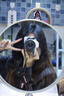 佳能（Canon）EOS R50 微單半畫(huà)幅相機 r50小巧便攜 Vlog拍攝直播相機 4K短視頻  學(xué)生微單相機 R50白色 RF-S18-45套機 套餐一【128G內存卡~抗震防雨包~Vlog套裝 曬單實(shí)拍圖