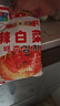 金剛山蘋(píng)果梨辣白菜韓國泡菜韓式風(fēng)味泡菜朝鮮族泡菜下飯菜開(kāi)袋即食 辣白菜+小黃瓜+香蔥 3袋共1000g 曬單實(shí)拍圖