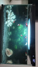 米家（MIJIA）智能生態(tài)魚缸還原自然生態(tài) 智能魚缸+濾芯套裝 曬單實(shí)拍圖