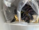 金百粟【順豐】山西藍(lán)寶石拇指黑美人無籽葡萄 生鮮金手指黑提甜大整串 凈重3斤+防震葡萄袋-老農(nóng)嚴(yán)選 曬單實拍圖