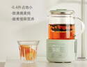 小熊（Bear）迷你養生壺養生杯 電燉杯電熱杯煮花茶壺燒水壺辦公室杯子0.4L全玻璃杯體YSH-F04E1 曬單實(shí)拍圖