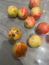 三萌果蔬突尼斯軟籽石榴 會(huì )理甜紅寶石榴新鮮水果中秋佳節送禮整箱發(fā)出 5斤甄選裝凈重4.5斤 曬單實(shí)拍圖