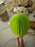 世喜嬰兒奶瓶刷硅膠奶嘴刷洗奶瓶清洗刷吸管刷子便攜杯刷3件套裝 曬單實(shí)拍圖