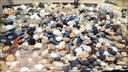 HANYANG魚缸溪流石溪流缸底砂造景底沙子水草裝飾雨林缸鋪底石頭子2kg 曬單實拍圖