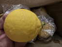 京鮮生 安岳黃檸檬12粒 單果100g+ 生鮮水果 源頭直發(fā)包郵 曬單實(shí)拍圖