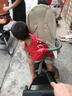 普洛可（PLAYKIDS）A6pro嬰兒推車(chē)遛娃神器0-6歲用折疊可坐可躺帶減震溜輕便高景觀(guān)A8 A6pro-潘多拉 曬單實(shí)拍圖