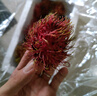 京鮮生 泰國進(jìn)口紅毛丹 毛荔枝 凈重1斤嘗鮮裝 水果 源頭直發(fā)一件包郵 曬單實(shí)拍圖