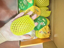 佳沛（zespri）新西蘭  陽(yáng)光金果18粒原箱單果重173-204g 獼猴桃 中秋水果禮盒 曬單實(shí)拍圖
