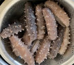 宮壹大連即食海參1斤15-25只 固形物超75%底播刺參鮮活海參加工免泡發(fā) 曬單實拍圖