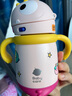 babycare兒童保溫杯嬰兒寶寶學(xué)飲杯吸管水杯水壺霸王龍不銹鋼保溫杯300ml 曬單實(shí)拍圖