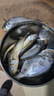 新鮮深海雜魚(yú)批發(fā)營(yíng)養海鮮小魚(yú)小蝦大雜燴水產(chǎn)一整箱 10斤裝 新鮮海雜魚(yú)隨機發(fā) 曬單實(shí)拍圖