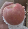 煙臺脆甜紅富士蘋(píng)果生鮮水果煙臺特產(chǎn)整箱批發(fā)-洪強 茁強煙臺紅富士蘋(píng)果80mm起凈果 5斤 曬單實(shí)拍圖
