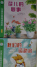 一閱而起漢語(yǔ)分級閱讀繪本1-7級 3-6歲 幼小銜接 識字 閱讀 繪本 故事書(shū) 貼合兒童繪本幼兒園教材 暑假閱讀 兒童節禮物 一閱而起第七級【8冊】 曬單實(shí)拍圖