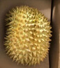 京鮮生 進(jìn)口金枕頭榴蓮 凈重4-5斤 1個(gè)裝  鮮果 生鮮 新鮮水果 曬單實(shí)拍圖