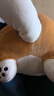 名創(chuàng)優(yōu)品（MINISO）柴犬系列毛絨公仔趴姿玩具娃娃抱枕睡覺室內(nèi)臥室辦公室生日禮物 曬單實拍圖