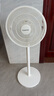 長(cháng)虹（CHANGHONG）電風(fēng)扇落地扇家用立式機械電扇臺扇搖頭電扇空氣循環(huán)風(fēng)扇CFS-LD3016T 曬單實(shí)拍圖