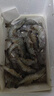 蝦有蝦途青島大蝦無(wú)冰新鮮海蝦白蝦鮮活冷凍大蝦批發(fā)3.6斤凈重 青島大蝦 3.6斤(凈重)  只只分離 18-20cm【超大蝦皇】無(wú)冰 曬單實(shí)拍圖