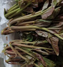 農(nóng)大姐妹香椿 香椿芽新鮮露天香椿芽葉 山東露天紅油香椿  季節(jié)原因偏綠 現(xiàn)摘嫩芽3兩（順豐冷鏈） 曬單實(shí)拍圖