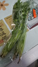 鮮活小花蛤350g（35-45粒） 曬單實(shí)拍圖