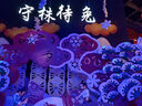 公牛（BULL）網(wǎng)絡(luò)插座面板86型墻壁二位雙口六類網(wǎng)線面板一位單口6類電腦插座 電腦(六類) 插座 曬單實(shí)拍圖