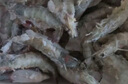 海云馨蝦活蝦速凍生鮮青島大蝦海蝦海鮮水產(chǎn)鮮活冷凍凍蝦超大白蝦 14-17cm整箱 3斤(凈重)  活蝦速凍 曬單實(shí)拍圖