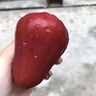 橙市碼頭蓮霧黑金剛【多地次日達】熱帶高檔孕婦泰國水果中秋節日禮品盒 A級果凈重5斤裝【精美禮盒】 曬單實(shí)拍圖