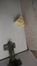 拜滅士拜耳滅殺除蟑螂藥誘餌盒餌劑膠餌屋家用廚房小強滅殺 奶酪版殺蟑餌盒12枚 曬單實(shí)拍圖