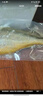 鴻順【冰鮮】黃花魚(yú)4條4斤 生鮮魚(yú)類(lèi) 寧德大黃魚(yú) 地標產(chǎn)品 源頭直發(fā) 曬單實(shí)拍圖
