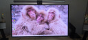三星（SAMSUNG）27英寸 G81SF QD-OLED 4K 240Hz 0.03ms 防燒屏防眩光超薄設計玄龍騎士 電競顯示器LS27FG812SCXXF 曬單實(shí)拍圖