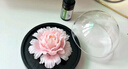 Para Ella永生花陶瓷牡丹生日禮物女生伴手禮實(shí)用七夕情人節(jié)醫(yī)師母親教師節(jié) 曬單實(shí)拍圖