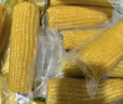 十月稻田 黃糯玉米 3.52斤(220g*8根) 東北甜黏玉米棒 早餐苞米 真空包裝 曬單實(shí)拍圖