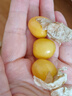 京鮮生 東北特產(chǎn)姑娘果 凈重2斤裝 黃姑娘果菇娘果燈籠果源頭直發(fā)包郵 曬單實(shí)拍圖
