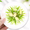 樂品樂茶茉莉花茶特級(jí)茶葉茉莉毛尖250g花草茶濃香型2025新茶自己喝冷泡茶 曬單實(shí)拍圖