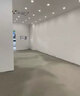 歐普照明（OPPLE）歐普220V高壓燈帶24V低壓線性燈軟光帶客廳吊頂鋁槽裸板燈帶黏貼 雙排款220v【暖白光]120珠9W/一米 曬單實(shí)拍圖