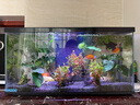 喜高超白玻璃魚(yú)缸智能魚(yú)缸免換水小型客廳水族箱一體式過(guò)濾氧氣魚(yú)缸 黑色-魚(yú)缸+造景+加熱棒 600*268*322mm 曬單實(shí)拍圖