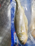 GUO LIAN國聯(lián)三去黃花魚(yú)2條共凈重2斤國產(chǎn)寧德東海大黃魚(yú)中秋聚餐海鮮食材 曬單實(shí)拍圖
