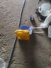 殼牌（Shell）機油合成技術(shù)機油5w-30(5w30) API SP級 4L 黃殼HX5 京東養(yǎng)車 曬單實拍圖