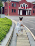 G.DUCKKIDS小黃鴨童裝洛麗塔公主裙女童裙子夏季兒童禮服連衣裙女孩子蓬蓬裙 藍色 100 尺碼2~3歲【90-100cm】cm 曬單實拍圖